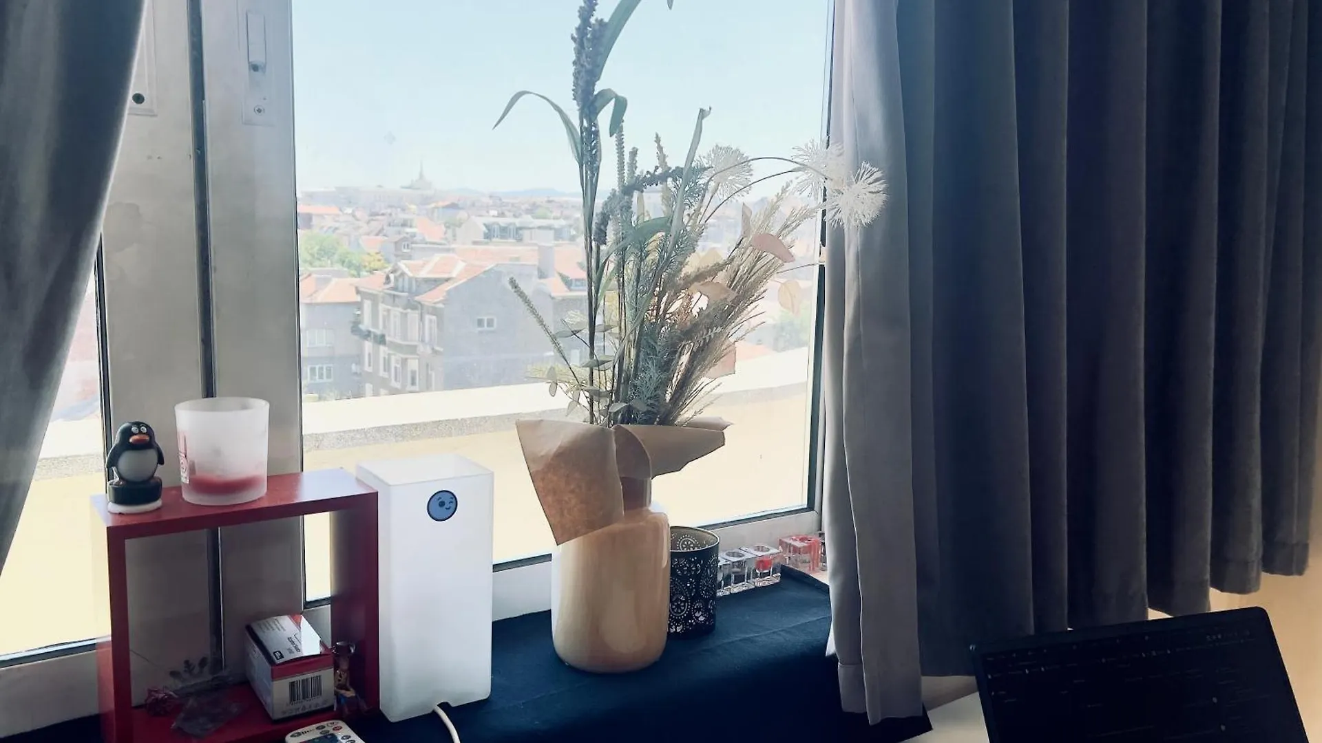 Apartment Cosy Rooftop In Center Sofia