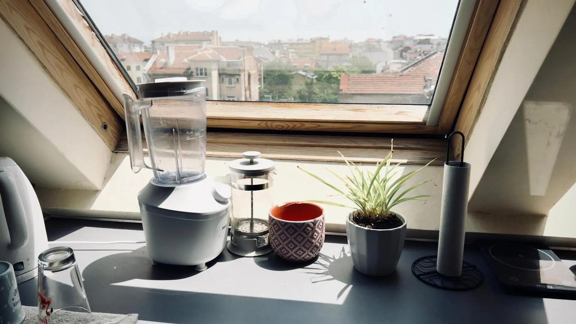 Apartment Cosy Rooftop In Center Sofia